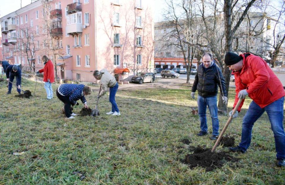 Проект сад победы