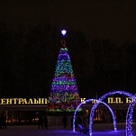 Туляков приглашают на закрытие елок в парках