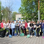 Аппарат Тульской городской Думы принял участие в субботнике