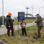 В Туле высадили «Аллею памяти»  