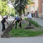 Тульская городская Дума провела субботник