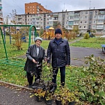 Владимир Суслин приобрел саженцы для благоустройства дворов в Пролетарском округе