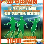 При поддержке Надежды Козьяковой пройдет  турнир по мини-футболу