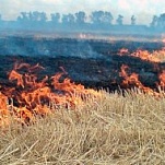 Внимание! Пал сухой травы запрещен законом!