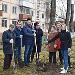 В Центральном округе Тулы прошла экологическая акция