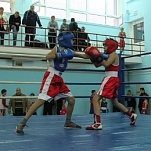 Юных туляков приглашают в спортивные секции по борьбе