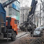 В центре образования №17 вывезли спиленные ветки