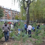 Депутаты Тульской городской Думы приняли участие в акции «Дай жизнь дереву!»