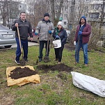 Владимир Суслин принял участие в озеленении дворов в Пролетарском округе