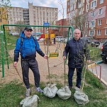 Владимир Суслин оказал содействие в озеленении дворов в Пролетарском округе