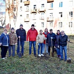 В Туле проходит акция «Сад Победы – сад жизни» 