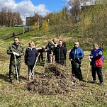 Депутаты приняли участие в благоустройстве парка «Рубеж обороны» в Мясново