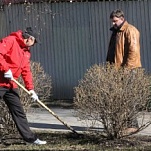 Итоги общегородского субботника