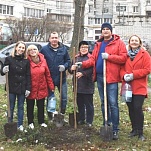 В Советском округе Тулы прошла экологическая акция