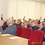 Члены общественно совета посетили заседание Тульской городской Думы