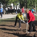 Аппарат Тульской городской Думы принял участие в субботнике