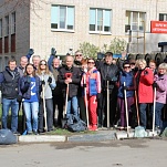 Депутаты и сотрудники аппарата Тульской городской Думы приняли участие в субботнике