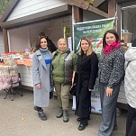 Участники движения ОНФ провели мастер-классы в Центральном парке Тулы