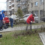 Аппарат Тульской городской Думы принял участие в субботнике